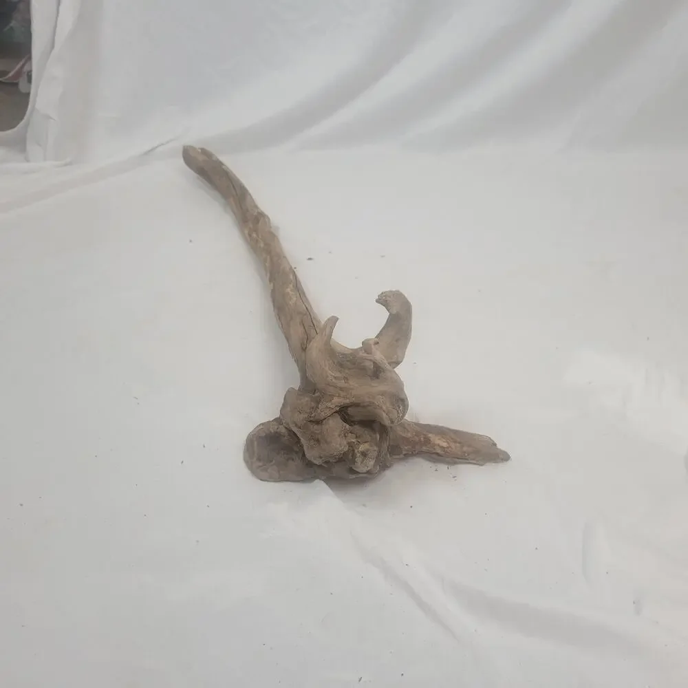 Ohio River Driftwood 37